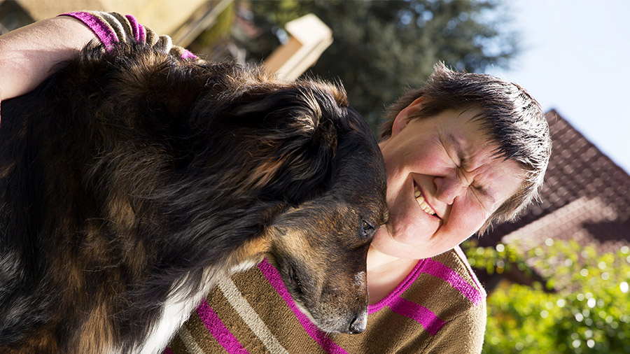 TAA: conheça os benefícios da Terapia Assistida por Animais