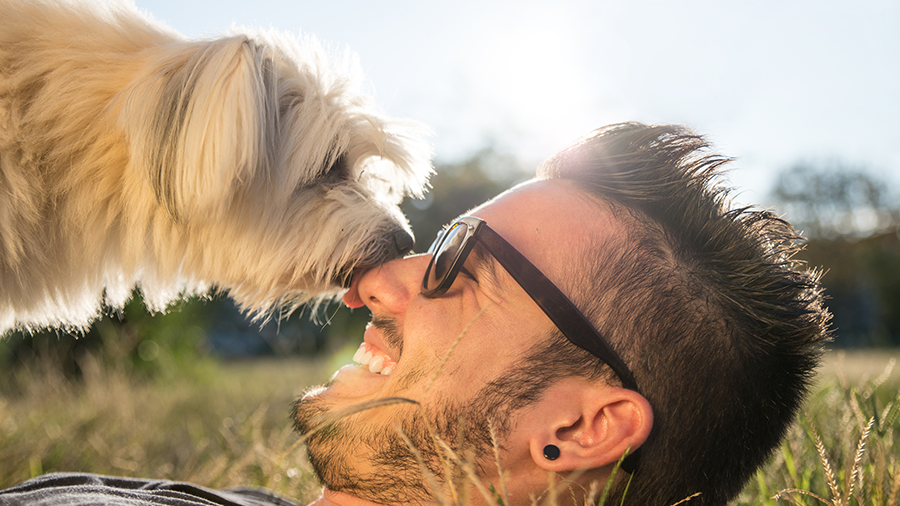 Poder pet: 5 formas do seu cão cuidar de você