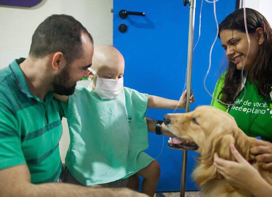 Conheça o projeto que utiliza cães no tratamento crianças com câncer