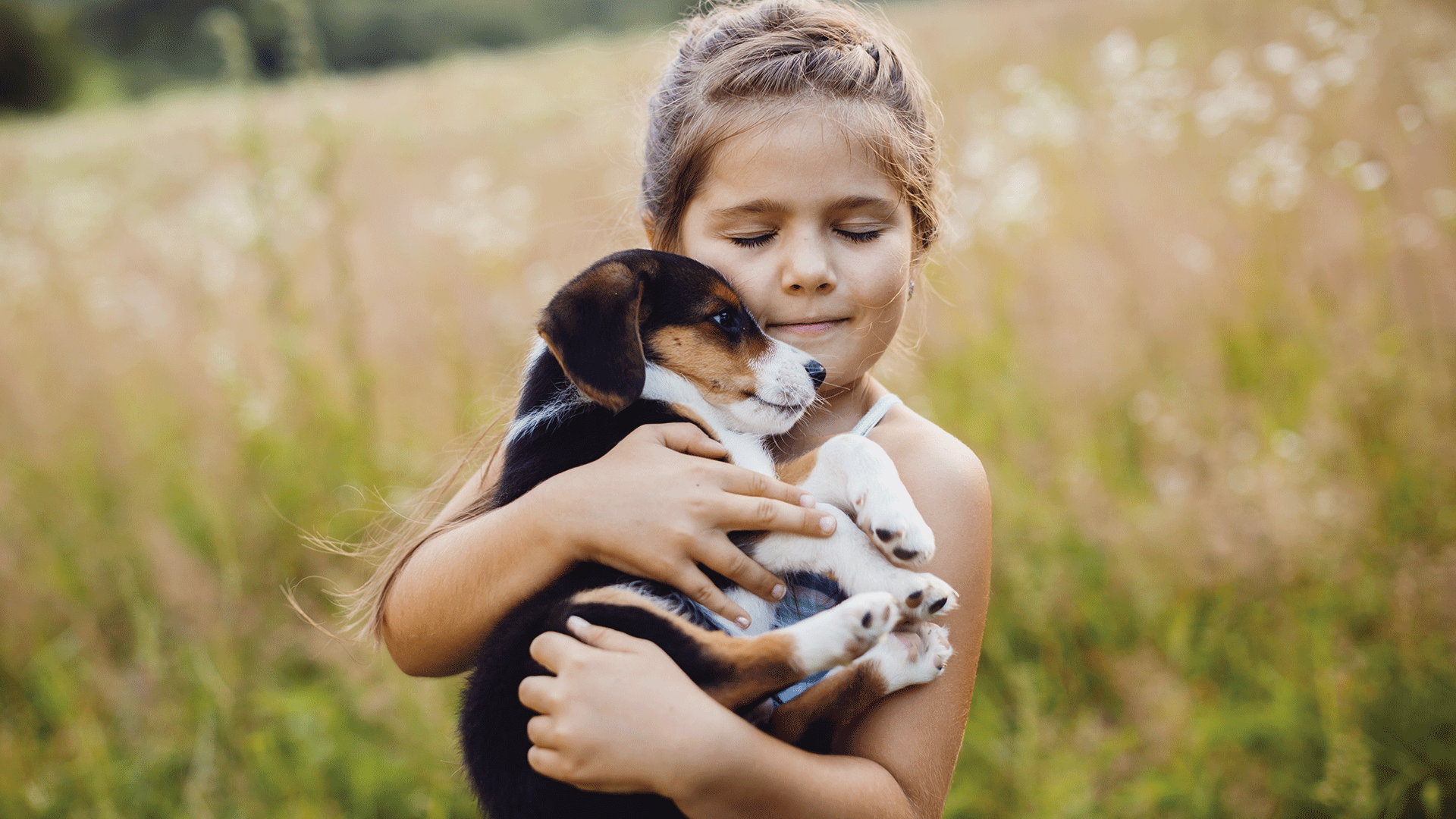 Crianças e animais: uma parceria realmente saudável