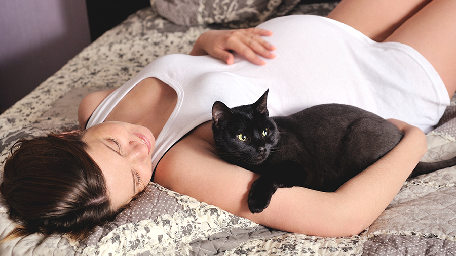 Gatos e grávidas: uma interação benéfica e amorosa