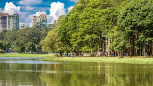 lugares_cachorro_sp