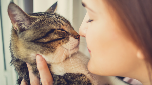 gato pessoa beijinho