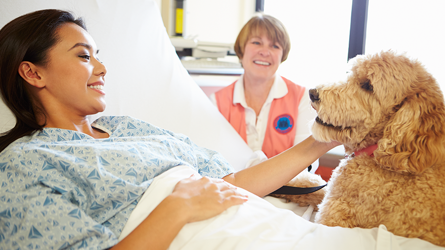 Como a visita dos pets em hospitais ajuda na recuperação de seus tutores