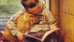 amizade gato e garoto