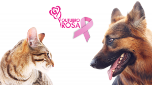 outubro rosa