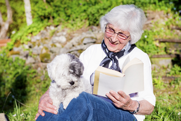 Conheça os benefícios dos cães para idosos