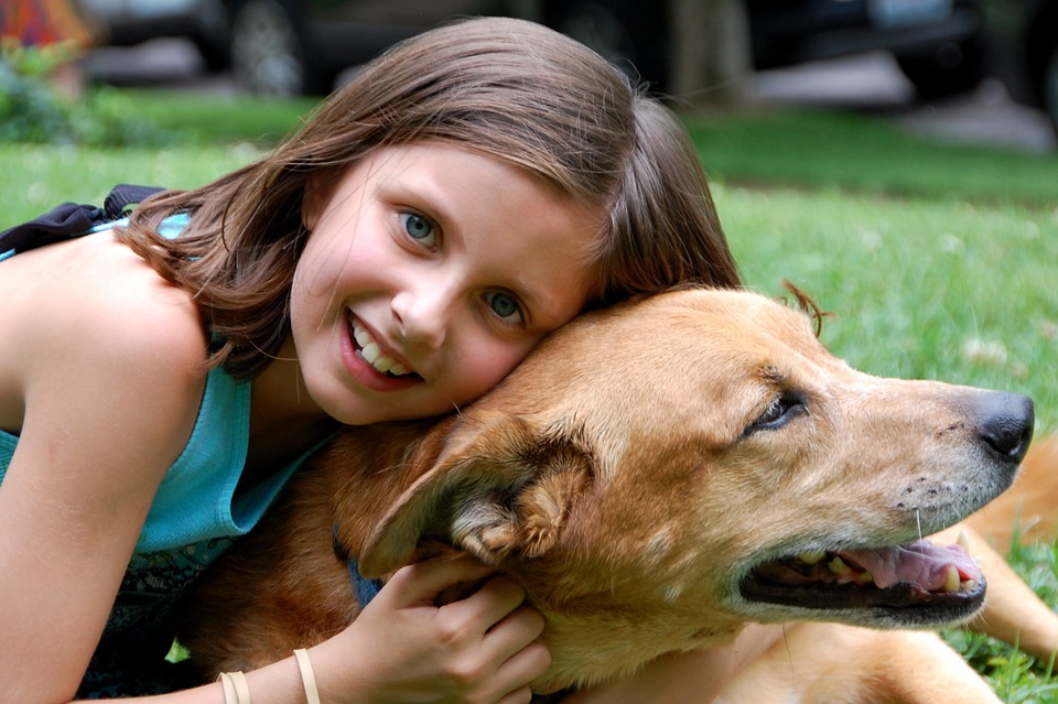 Como evitar que crianças e cães se machuquem?