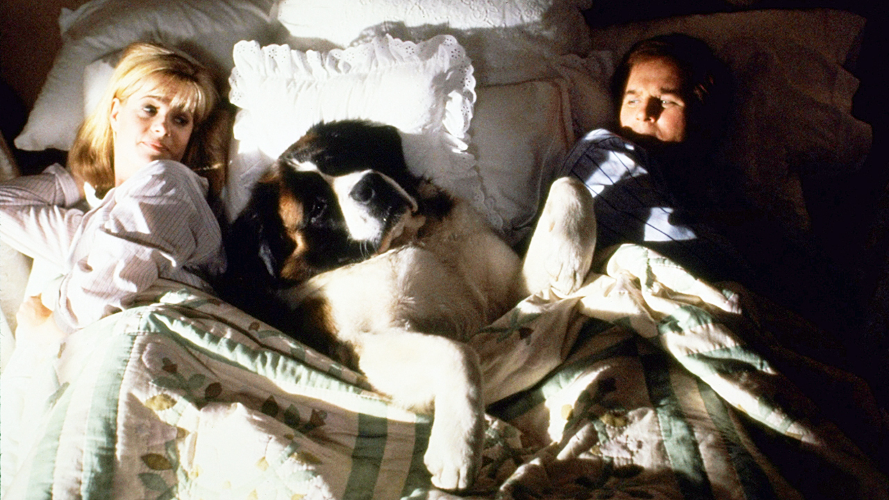 Lista: os cinco cães mais famosos do cinema