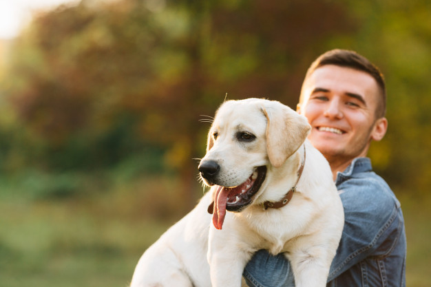 Como cães ajudam a combater a depressão