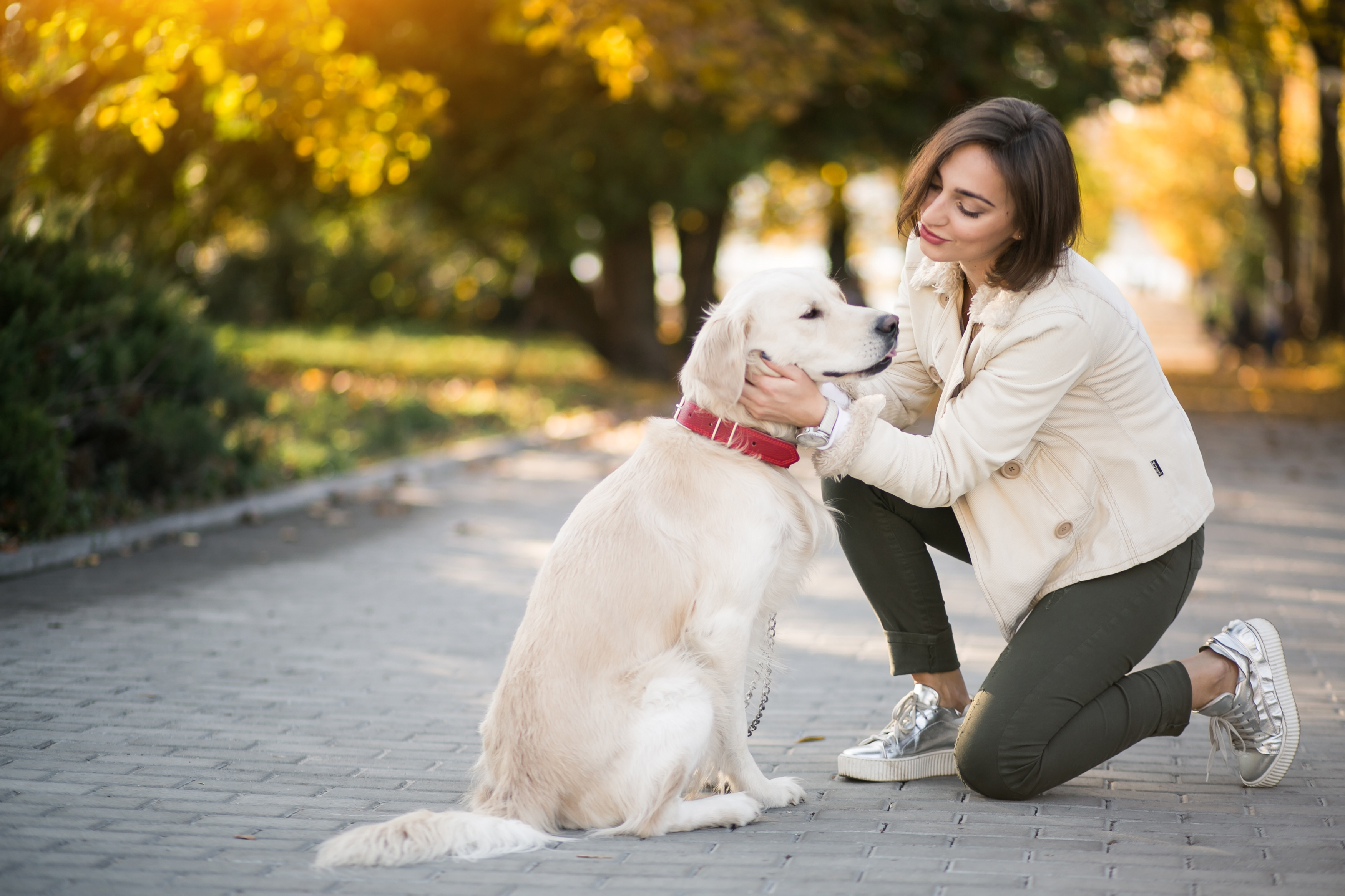 Cães e humanos – benefícios da coevolução
