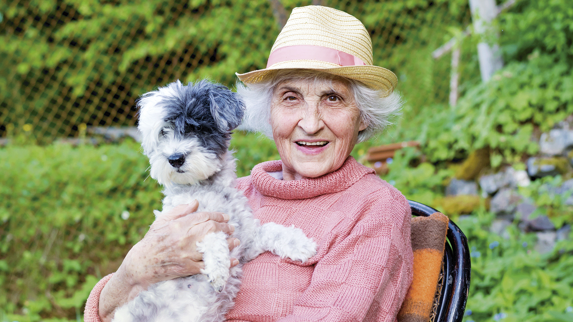Quais são os animais de estimação mais recomendados para idosos?
