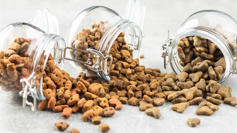 Insetos no pet food: um problema fácil de ser evitado