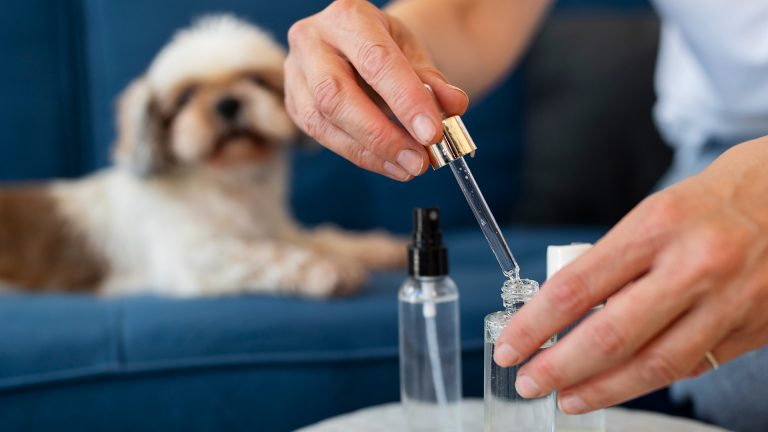 Óleos essenciais para pets são confiáveis?