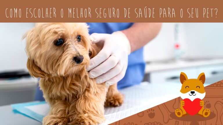 Como escolher o seguro de saúde perfeito para o seu pet