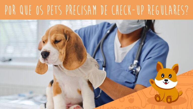 Por que os pets precisam de check-ups regulares?