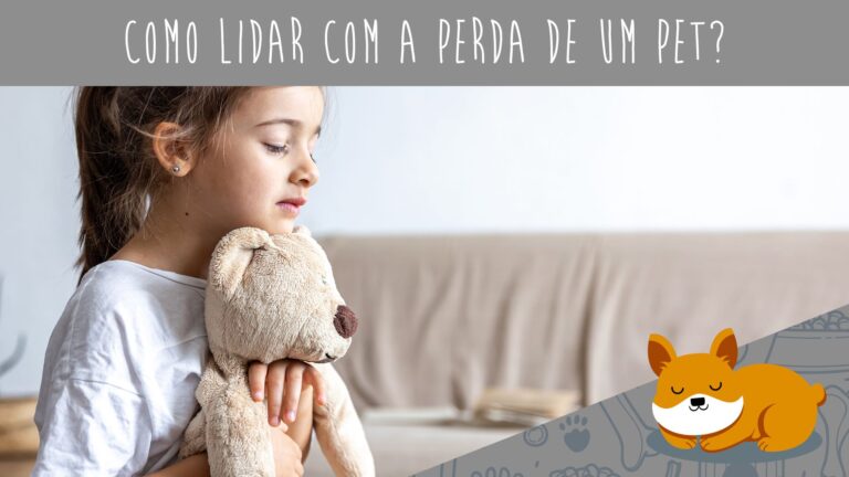 Como lidar com a perda de um pet?