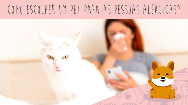 Como escolher um pet para as pessoas alérgicas?