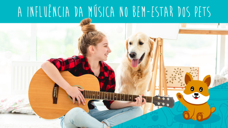 A influência da música no bem-estar dos pets