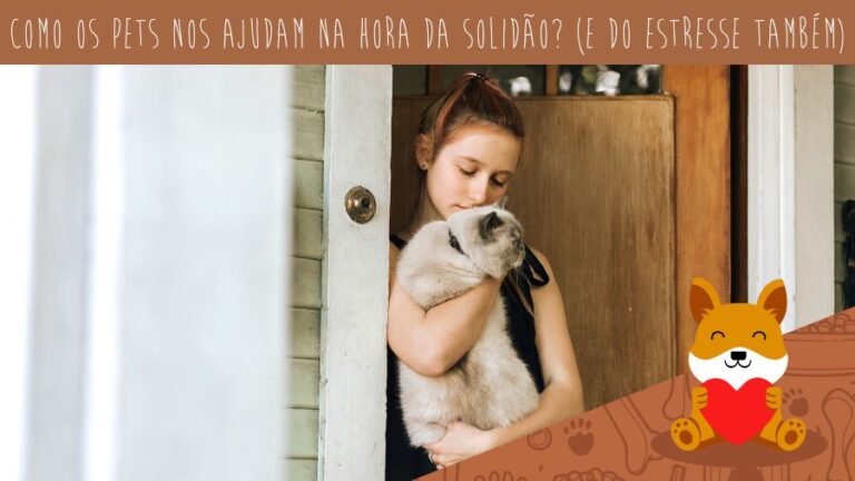 Saúde física e emocional: saiba por que a vida é muito melhor com um pet