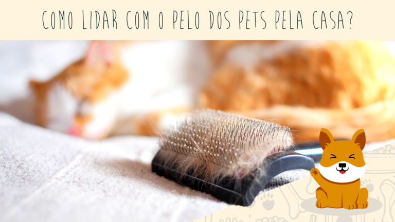 Como lidar com a queda de pelos e alergias ao adotar um cão ou gato