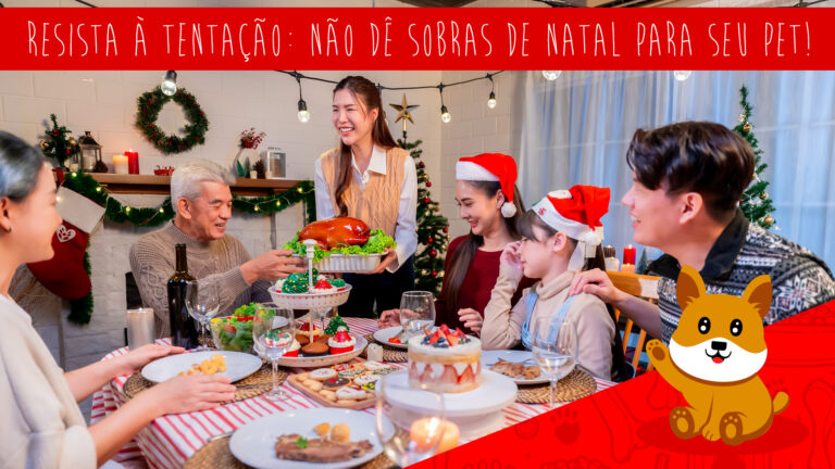 Evite dar sobras de ceia para seus pets durante as festas!